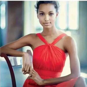 GORGEOUS silk chiffon Poppy Red Sinclair J Crew Halter Dress (4) gauze